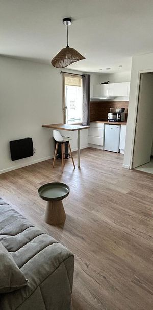 Location Appartement 1 pièce 20m² LE MANS 72000 - Photo 1