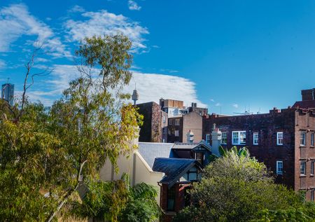 21/114 Burton Street, Darlinghurst NSW 2010 - Apartment For Rent | Domain - Photo 4