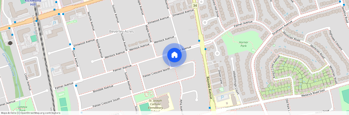 428 Palmer Avenue Unit# Main FL, Richmond Hill