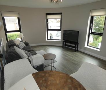 Apt 2, 223a Belmont Road, Belfast, BT4 2AH - Photo 4