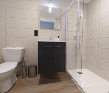 Location Appartement 1 Pièce 19 m² - Meublé - Photo 4