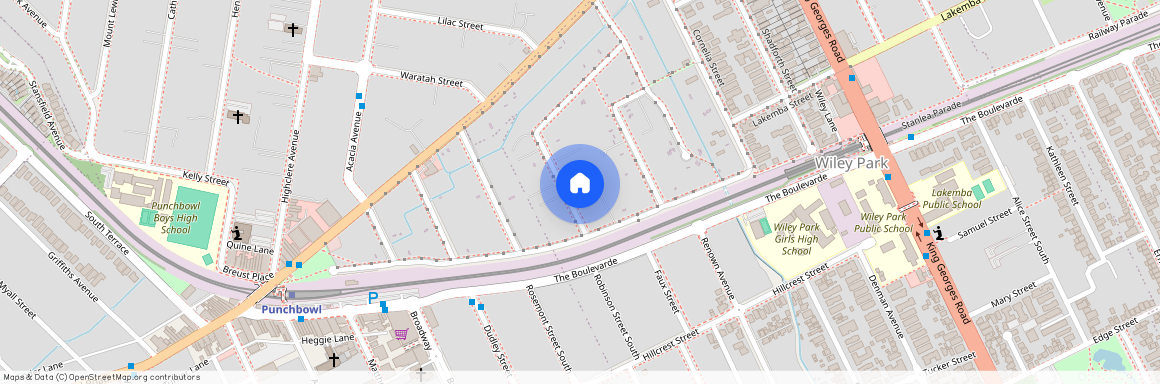 52 Robinson Street Nth, NSW 2195, Wiley Park