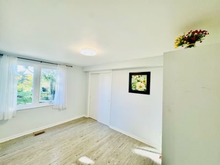 For Lease - 272 Essex (Work Out Basement) Avenue, Richmond Hill, Ontario - Photo 3