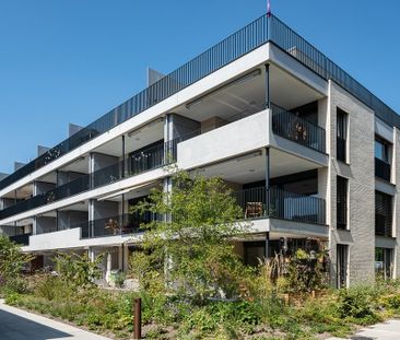 Wohntraum für Familien - Photo 2