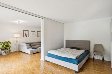 2-ROOM APARTMENT IN LUCERNE, FURNISHED, TEMPORARY - Foto 3