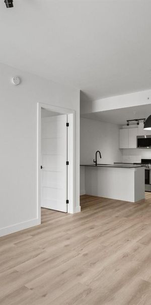 Studio - 1133 Avenue Viger Est, Montréal - Photo 1