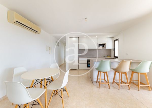 Ground floor apartment for rent in Palmanova
