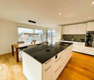 DREAMLIKE VIEW OF THE WILDEGG CASTLE - Photo 3