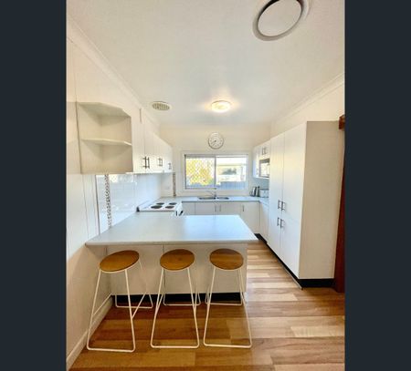 3 Young Street, Cooks Hill, NSW 2300 - Photo 2