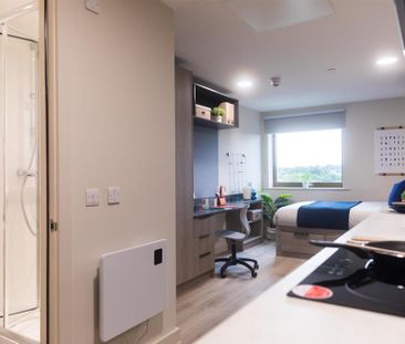 Studio to rent - Photo 2