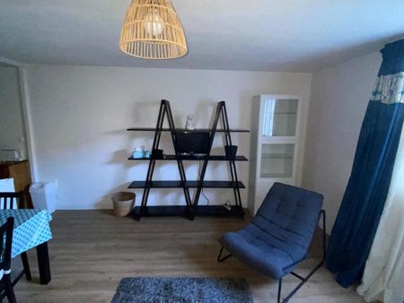 Location Appartement 1 pièces 31 m2 à Montpellier - Photo 2