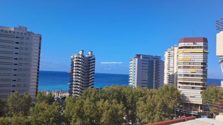 Benidorm Levante Winter and Holiday let - Photo 2