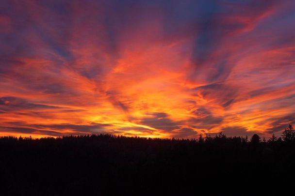 Charming 3.5-room in the countryside with forest view - Photo 1