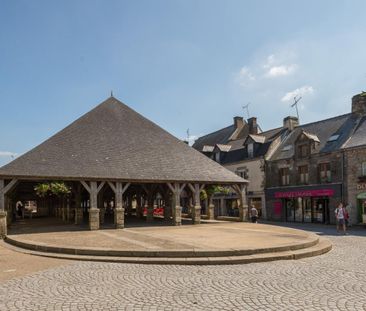 A LOUER STUDIO QUESTEMBERT 56230 BRETAGNE MORBIHAN - Photo 1