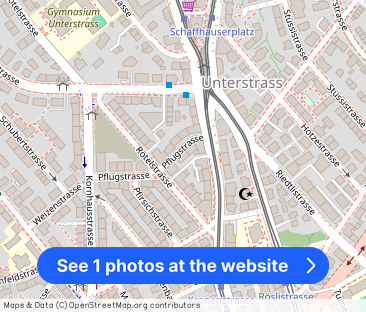 Modern apartment in the immediate vicinity of the Schaffhauserplatz - Photo 1