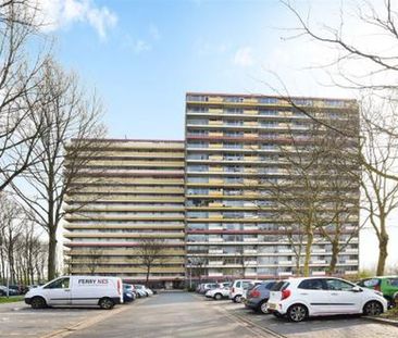 Oost Dorsch 1504 Zaandam - Foto 4