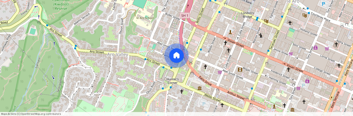 1/2 Palmer Street, Te Aro, Wellington City