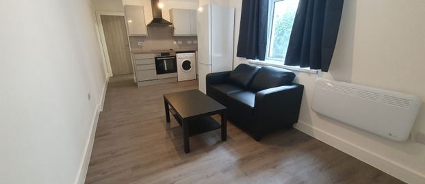 Flat 2, 19 Mundy Place, Cathays, Cardiff, CF24 4BZ - Photo 1