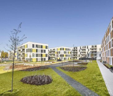 Sonnenhöfe - Helle Wohnung mit moderner Küche - Photo 1