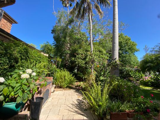 6 Vine Street, Ashfield NSW 2131 - House For Rent | Domain - Photo 1