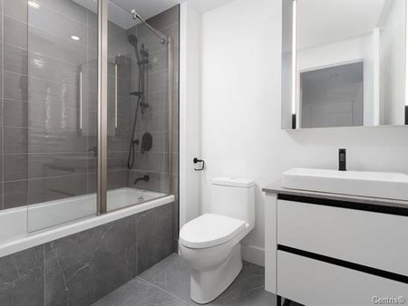 720 Rue St Jacques, Montréal (Ville-Marie), QC H3C - Photo 2