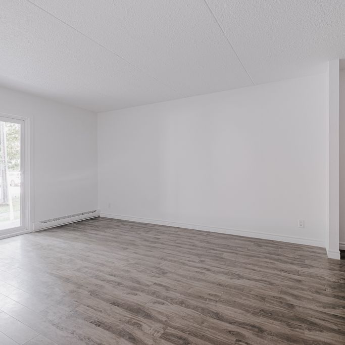 OSEN Appartement 5 ½ à Louer Sainte-Foy / Sillery Décembre 2025 - Photo 1