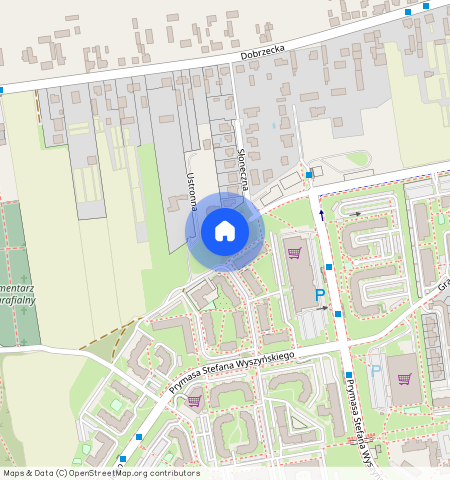 ul. Aliny Szapocznikow 10, Kalisz