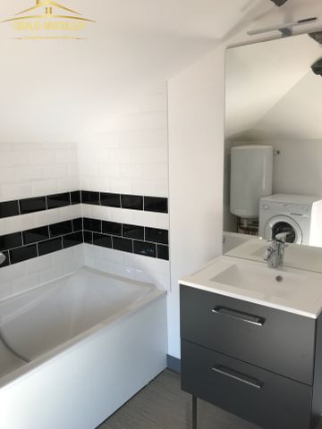Location Appartement 1 pièce 23m² CHARLIEU 42190 - Photo 4