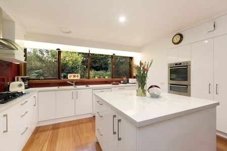 57 Cratloe Road, Mount Waverley VIC 3149 - House For Rent | Domain - Photo 3