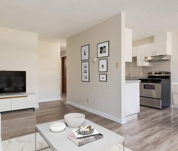 Renovated Suite - 1 Bedroom - Photo 4