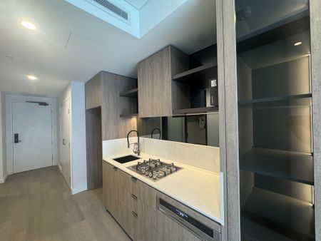 908/8 Hinchcliffe Place, Zetland NSW 2017 - Apartment For Rent | Domain - Photo 4