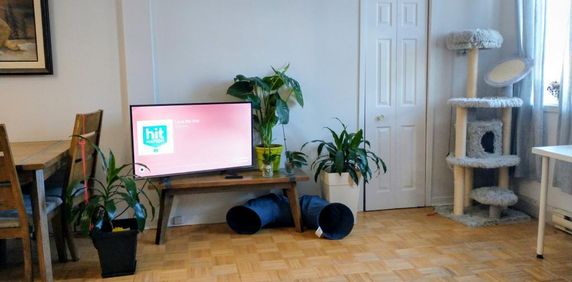 Logement 3 1/2 à Rivière-Rouge DISPONIBLE - Photo 2