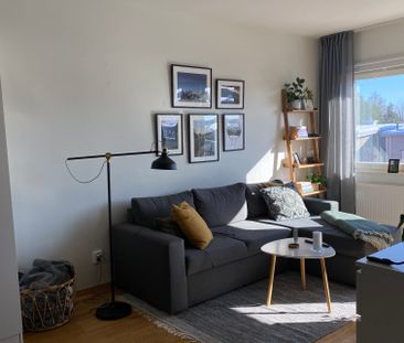 Lyktvägen, Umeå - Photo 5