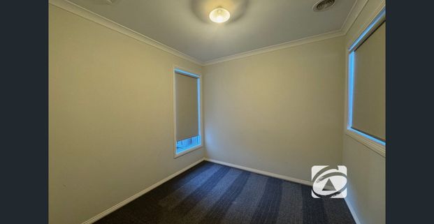 LIVING THE EASY LIFE! - Photo 1