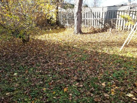 For Lease - 182 Confederation Drive Unit# Basement-2, Toronto, Ontario - Photo 3