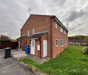 Alpine Grove, Chesterfield, S43 - Photo 5