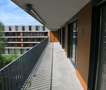 5.5 Zimmer, 136 m², 1. Stock - Foto 5