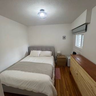 Large pet friendly 1 BED - Photo 1