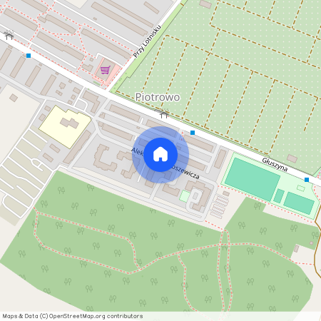 ul. Aleksandra Gabszewicza, Piotrowo, Nowe Miasto, Poznań, wielkopolskie