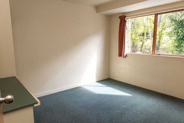 75D York Place - 2025, Dunedin Central, Dunedin City - Photo 1