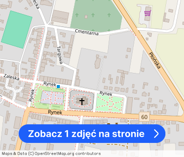 Wynajmę dom 80m2-5 km od Drobina, duży ogród, garaż - Zdjęcie 1