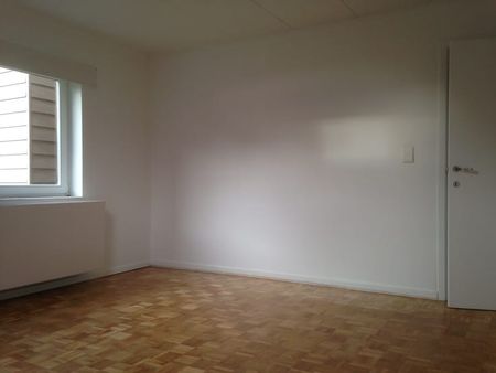 Huis te huur - Foto 3