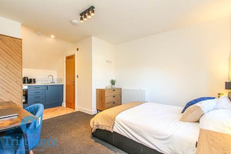 1 bed Studio for Rent - Photo 3