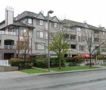 Bright, centrally located one bed/bath apartment in Coquitlam - Photo 4