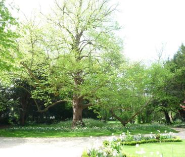 Parsons Lane, Weston Sub Edge, Near Chipping Campden, GL55 flat to ... - Photo 4