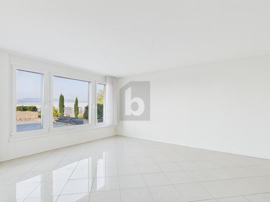 TOP VIEW WITH LARGE TERRACE - Photo 1