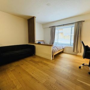 Loft entièrement meublé à louer Saint-Jean-Baptiste juillet 2026 - Photo 2