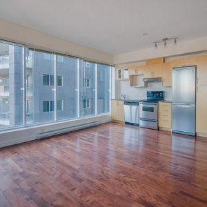 1 chambre - 400, Sherbrooke Ouest, Montréal - Photo 2