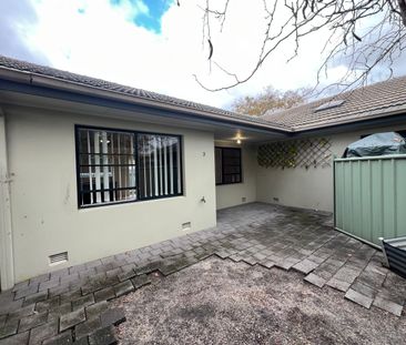 3/574 Ebden Street, Albury NSW 2640 - Apartment For Rent | Domain - Photo 1