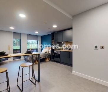 Premium Studio - Photo 1